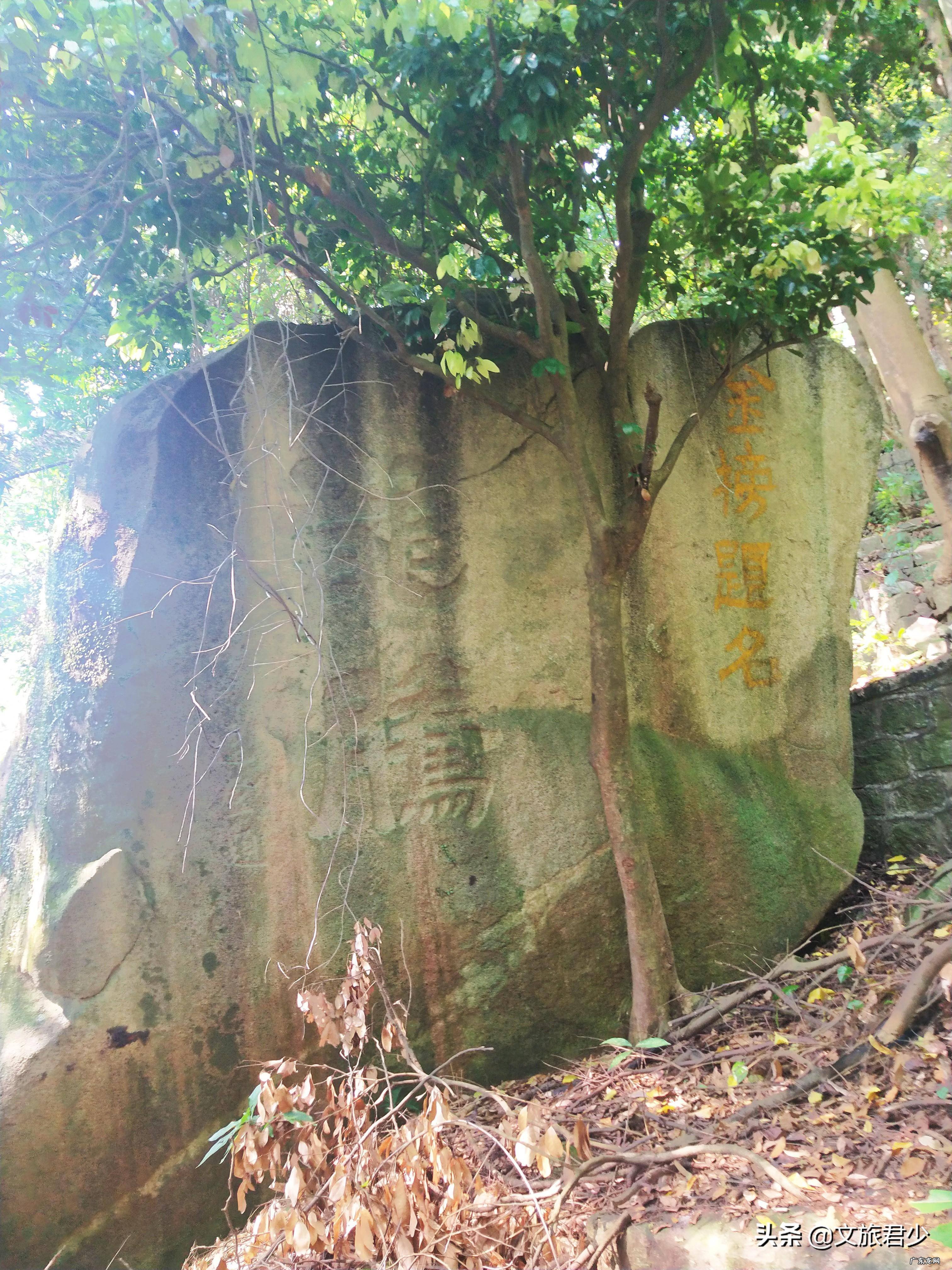 大岭山马山仙境在哪个位置啊