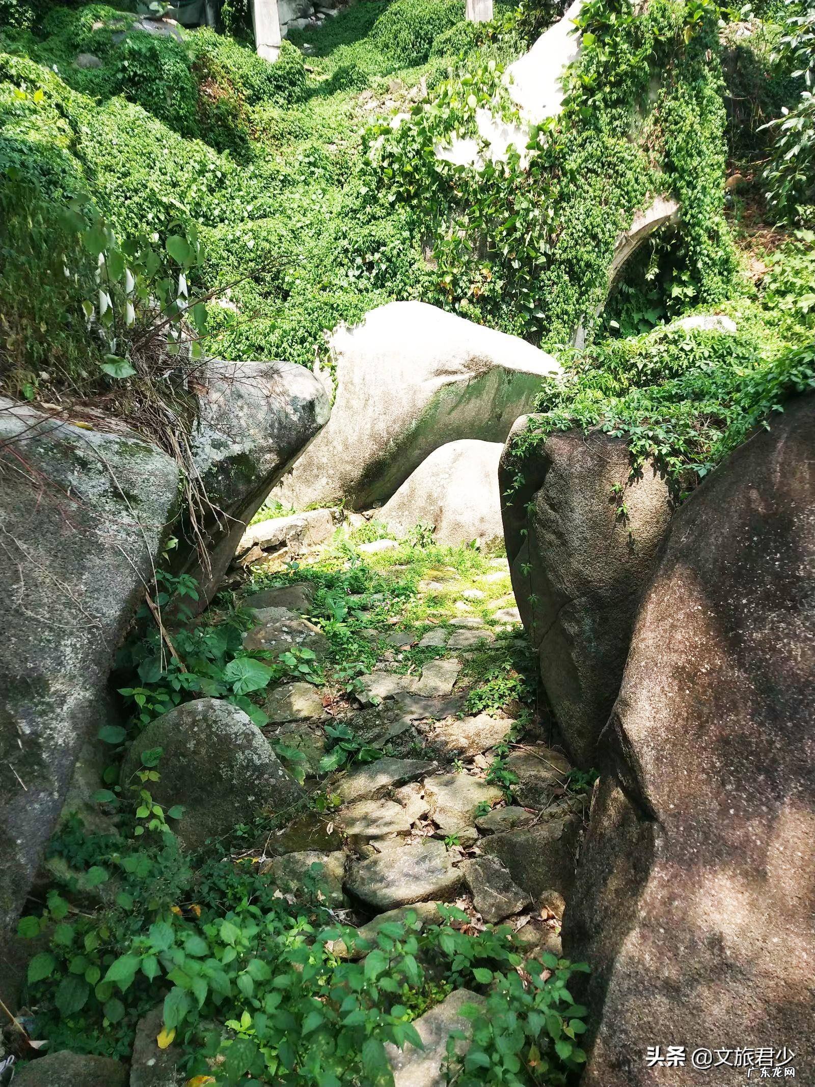 大岭山马山仙境在哪个位置啊