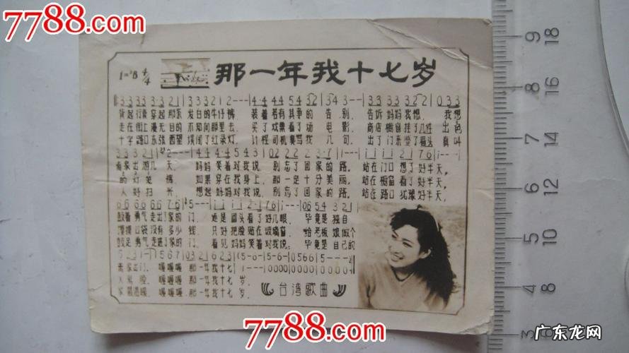 关于十七岁的英文歌曲