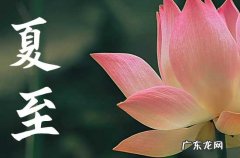 2023年夏至几天进入伏天