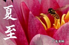 2023年夏至日几天后就入伏了