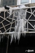 冰溜子学名是什么