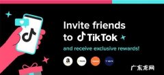 tiktok海外版官网