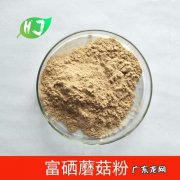 蘑菇粉的作用与功效