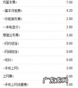 手机上网费是什么意思
