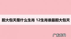 胆大妄为是什么生肖