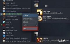 csgo国服启动项如何设置