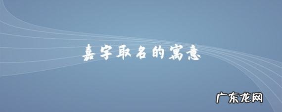 嘉仪名字的寓意是什么?嘉仪名字有什么故事呢?