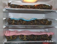 活螃蟹怎样保存时间长一些