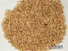 发芽米的功效与作用有哪些？发芽米怎么吃最好呢？