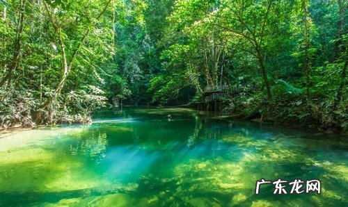东南亚的自然环境有多差?看完这个你就知道!
