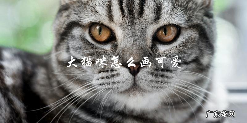 如何画出可爱的大猫咪?