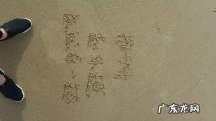钟丹丹我爱你啥意思