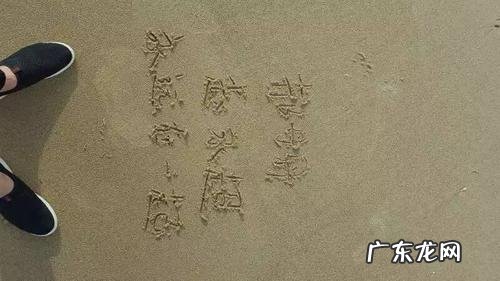 钟丹丹我爱你啥意思