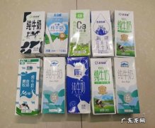 纯牛奶哪个牌子好