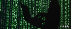 bug什么意思网络用语,bug是什么意思