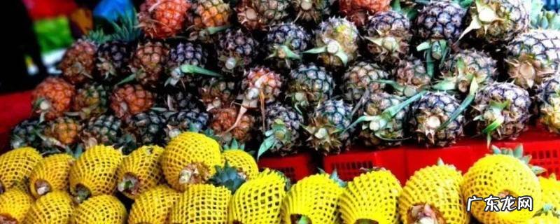 西双版纳水果有哪些,西双版纳水果有哪些品牌