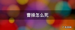 曹操咋死的啊 曹操怎么死
