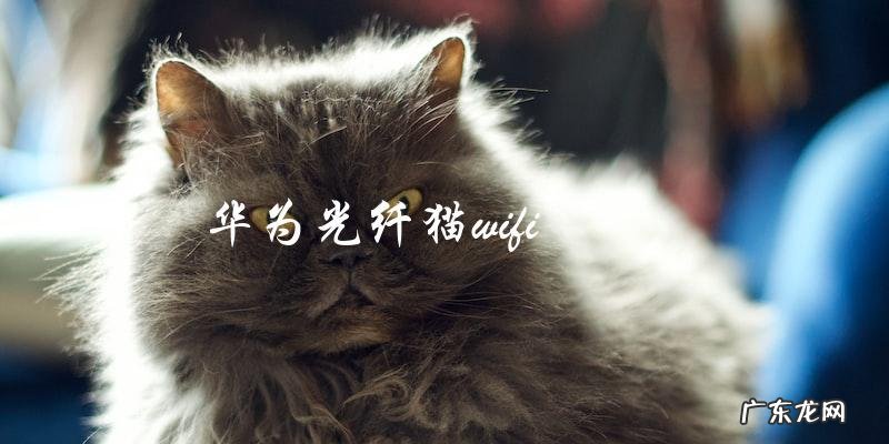 华为光纤猫是否支持WiFi功能?