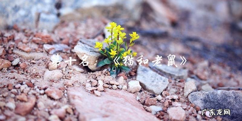 你绝对猜不到!2022年动画电影排行榜前十名,第一名竟然是……