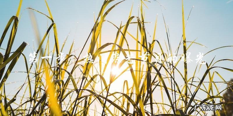 十八线女艺人突然爆红，背后隐藏了什么秘密？