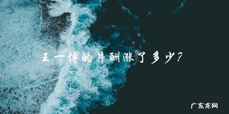 他的片酬涨了多少？王一博的身价飙升，网友纷纷猜测！