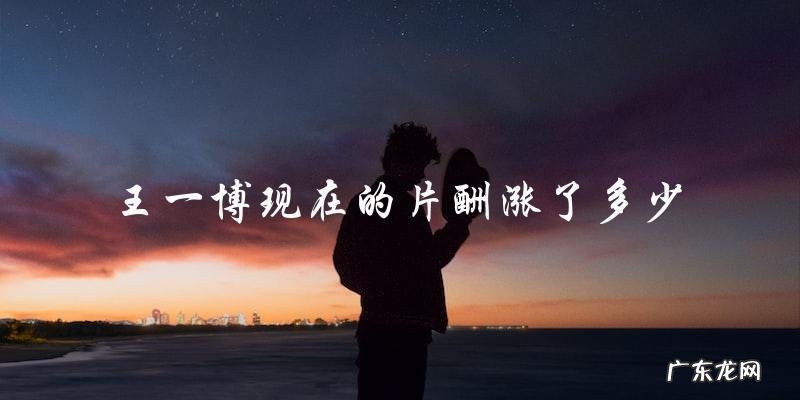 他的片酬涨了多少？王一博的身价飙升，网友纷纷猜测！