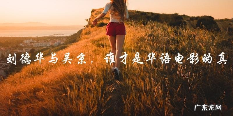 终极较量:刘德华与吴京,谁才是华语电影的真正巨头?
