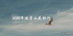 2022年流量小花排行