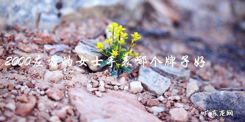 2000左右的女士手表,哪个品牌能带你走向时尚巅峰?