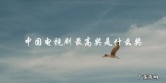 中国电视剧的最高荣誉，你猜是哪个奖？