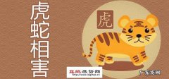 属虎属蛇相克怎么办