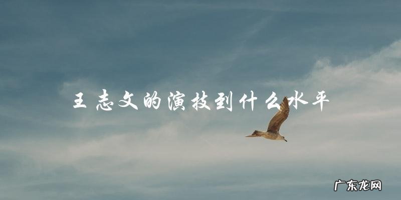 王志文的演技到底达到了何种惊人水平？