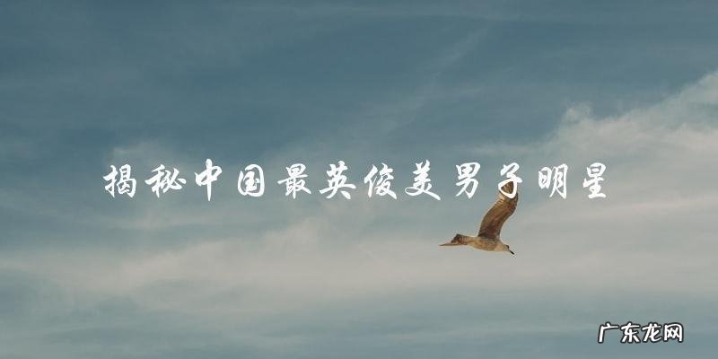 中国最英俊美男子明星是谁?