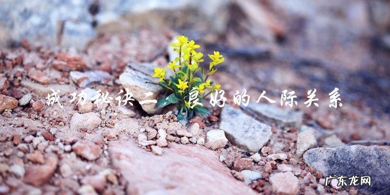 谁是韩国地位最高的男星?他们的成功秘诀!