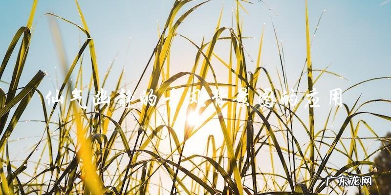 神秘仙境：仙气幽静的古风背景图背后的秘密