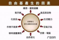 人体自由基是什么？人体自由基过多会怎样呢？