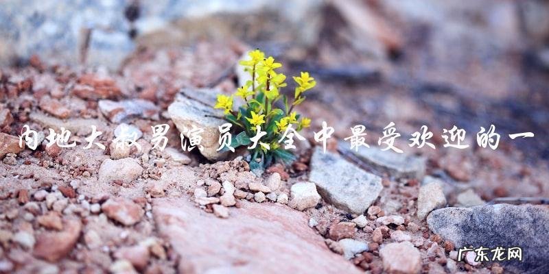 谁是内地大叔男演员大全中最受欢迎的一位?