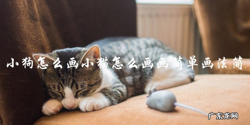 如何用简单的画法画出小狗和小猫?