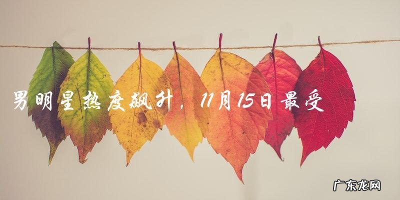 11月15日,男明星热度飙升,谁将成为当天最受瞩目的焦点人物?