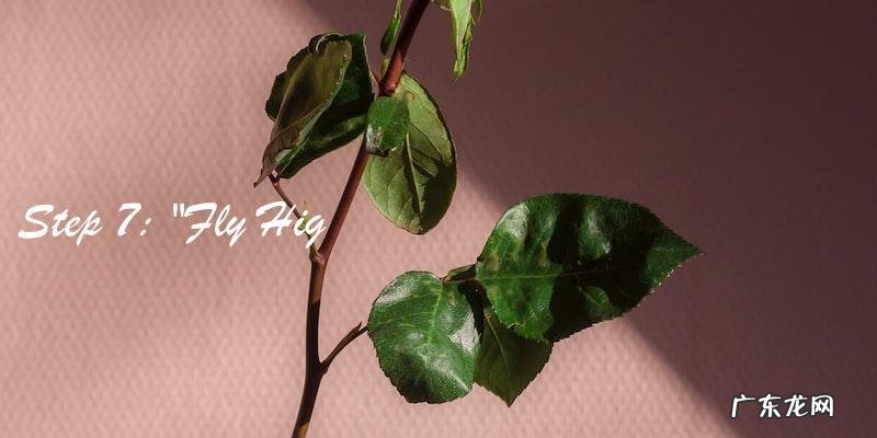 你听过滨崎步的十首最火歌曲吗?