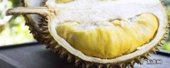 榴莲放冰箱可以放几天,夏天榴莲放冰箱可以放几天