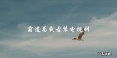 权倾天下：霸道总裁在古装世界的逆袭