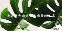 谁才是娱乐圈真正的女王？赵丽颖和迪丽热巴的地位之争！