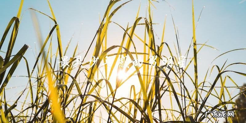谁是最具少年感的男明星?他的神秘面纱!