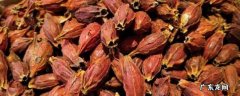 黄栀子上色是一直煮吗,栀子泡水颜色黄是否上色了