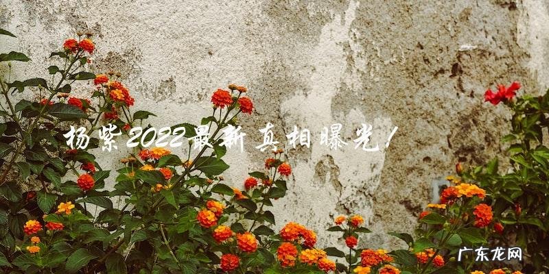 杨紫2022最新真相曝光！你绝对想不到的消息！