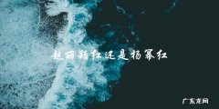 谁才是真正的红？赵丽颖还是杨幂？