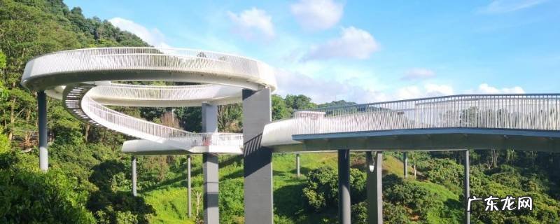 深圳网红桥在哪个地方,深圳网红桥叫什么名字