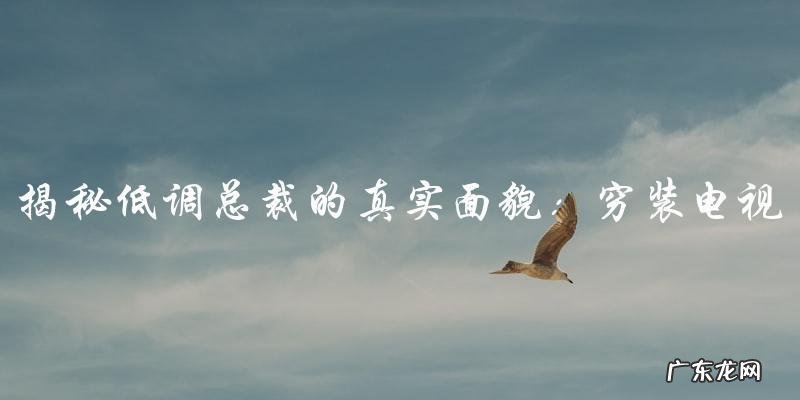 低调总裁的真实面貌:穷装电视剧引发观众热议!